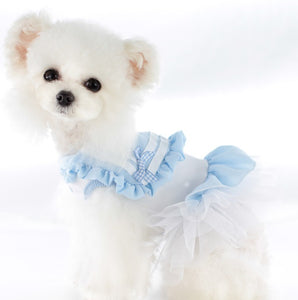 NEW Sailor dog dress
