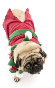 NEW Elf dog outfit with Hat