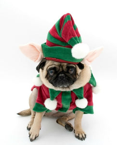 NEW Elf dog outfit with Hat