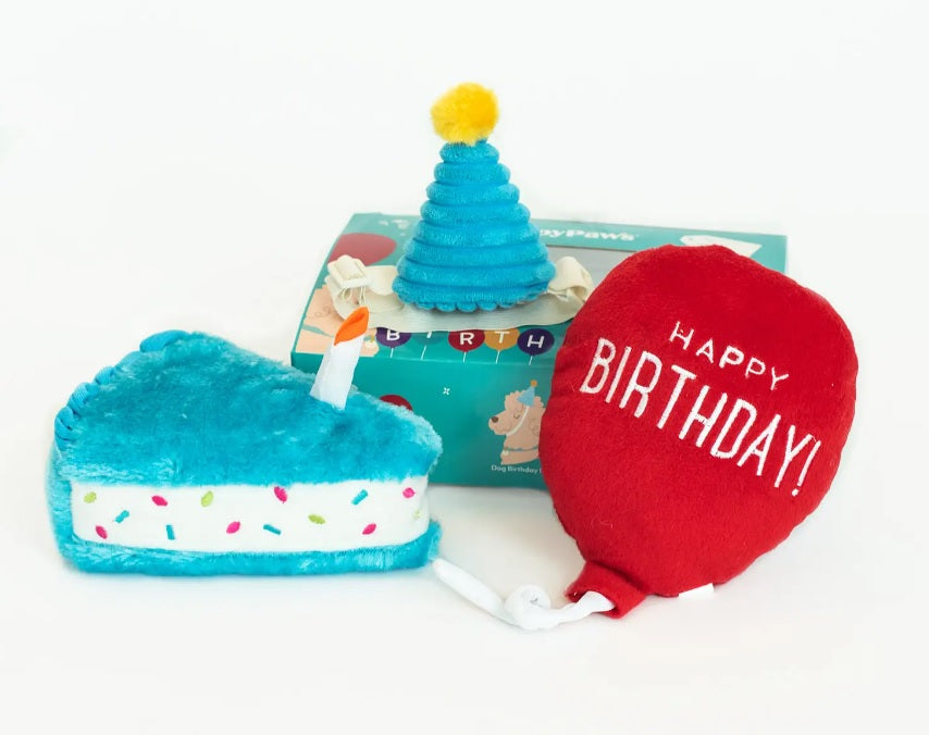 Zippy Burrow Pup Birthday Box