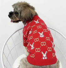 Load image into Gallery viewer, NEW GG Bunny dog jumper
