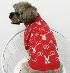 NEW GG Bunny dog jumper