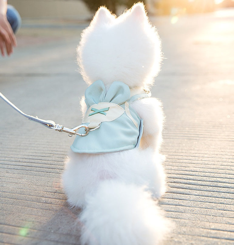 Amber dog harness