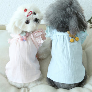 NEW Bunny dog dress