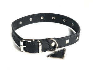 NEW Designer inspired dog collar