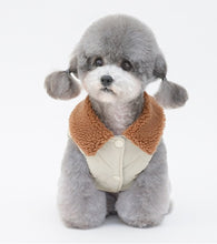 Load image into Gallery viewer, NEW Patrik dog jacket
