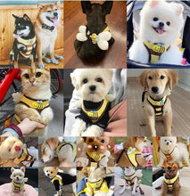 Load image into Gallery viewer, Bee dog harness
