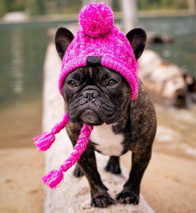 NEW Winter pet hat