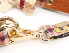 Load image into Gallery viewer, Teddy harness set
