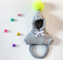 Load image into Gallery viewer, NEW Pom Pom dog hoodie

