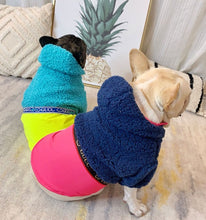 Load image into Gallery viewer, NEW Grrci dog jacket
