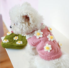 Load image into Gallery viewer, NEW Daisy dog jumper
