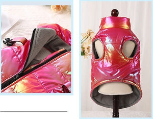 NEW Metallic dog D ring jacket