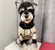 Load image into Gallery viewer, NEW GG knit dog jumper
