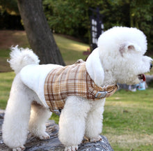 Load image into Gallery viewer, NEW Gauda dog jacket
