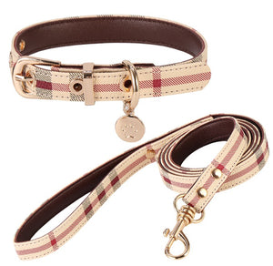 Autumn  Vibes collar set